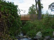 Forest Glen Park Bridge