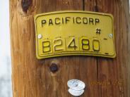 Pole number on Pacific Power lights