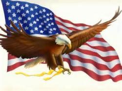 4th of July Eagle Flag