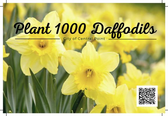 Daffodil flyer
